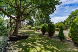 Photo 4- click for photo gallery